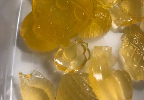 Gelégodis