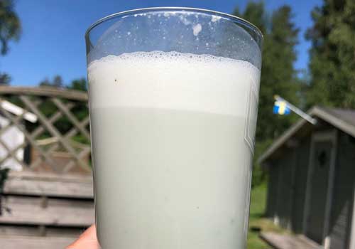 Proteindrink